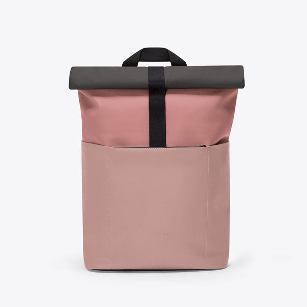 Rose - Dark Rose / Mini