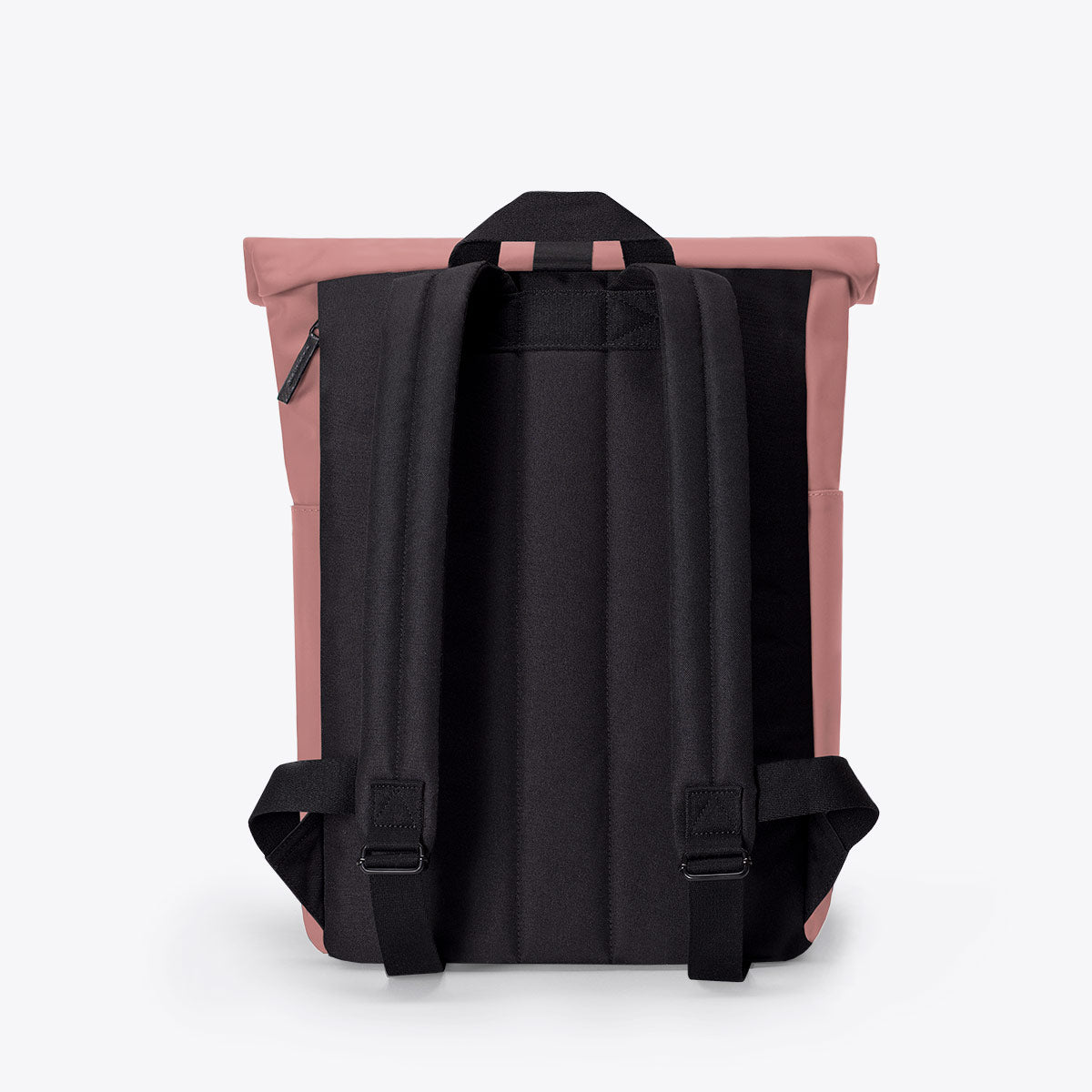 Hajo Roll-Top Backpack - Dark Rose / Mini